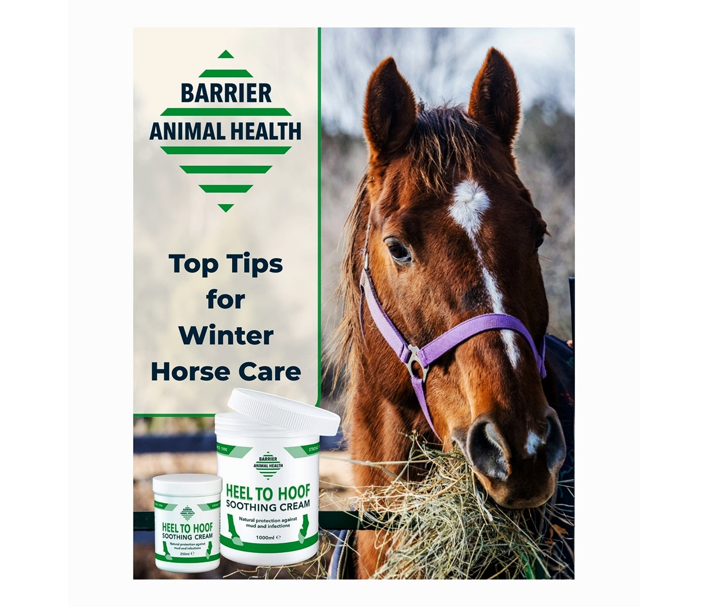 Barrier - Heel to Hoof Soothing Cream - Buy Online SPR Centre UK