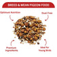 Gem Breed & Wean Pigeon Mix 20kg - Buy Online SPR Centre UK