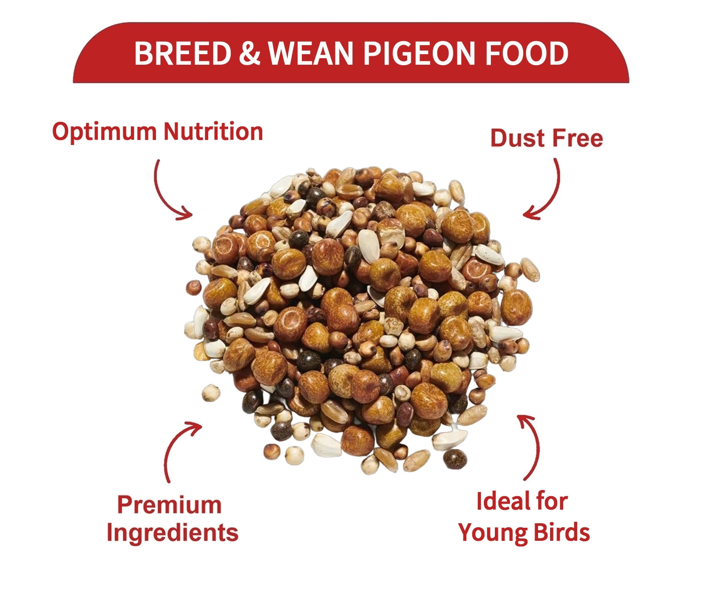 Gem Breed & Wean Pigeon Mix 20kg - Buy Online SPR Centre UK