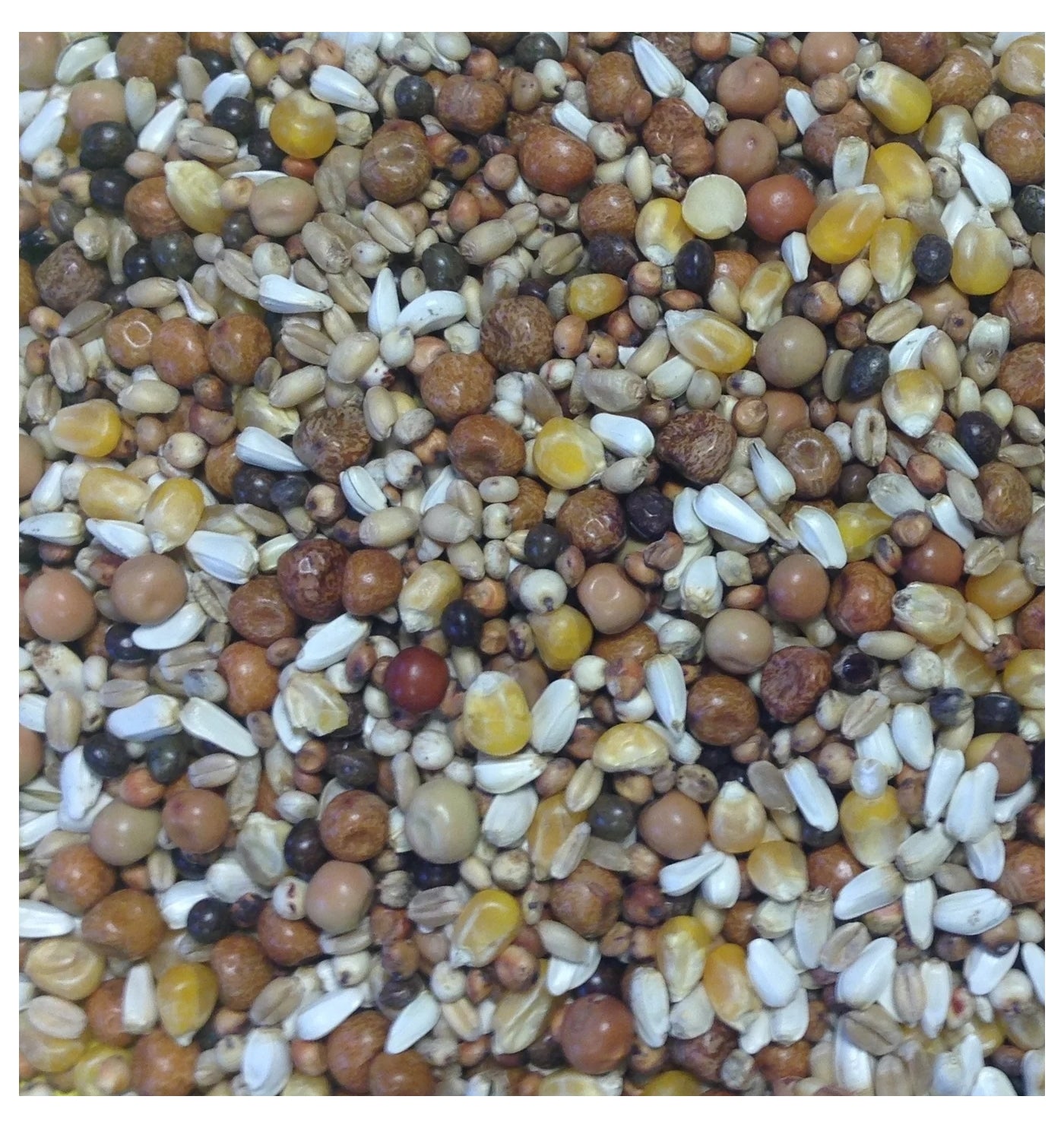 Gem Cowood Special Pigeon Mix 20kg - Buy Online SPR Centre UK