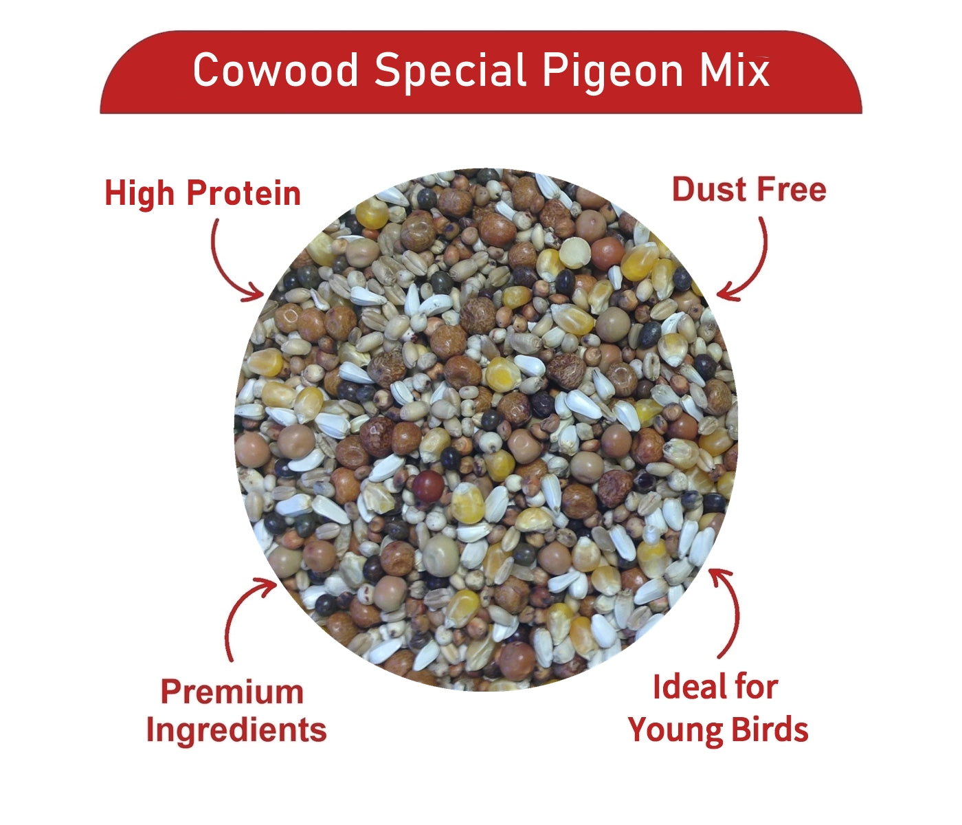 Gem Cowood Special Pigeon Mix 20kg - Buy Online SPR Centre UK