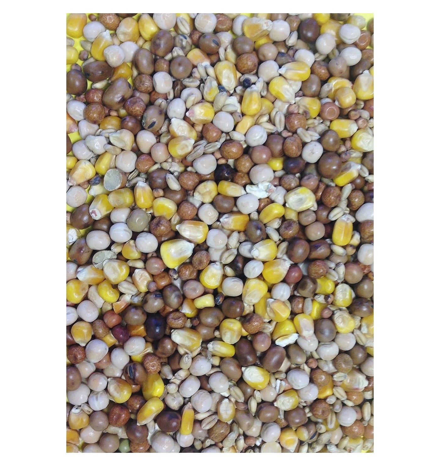 Gem - Four Seasons Pigeon Mix 20kg - Buy Online SPR Centre UK