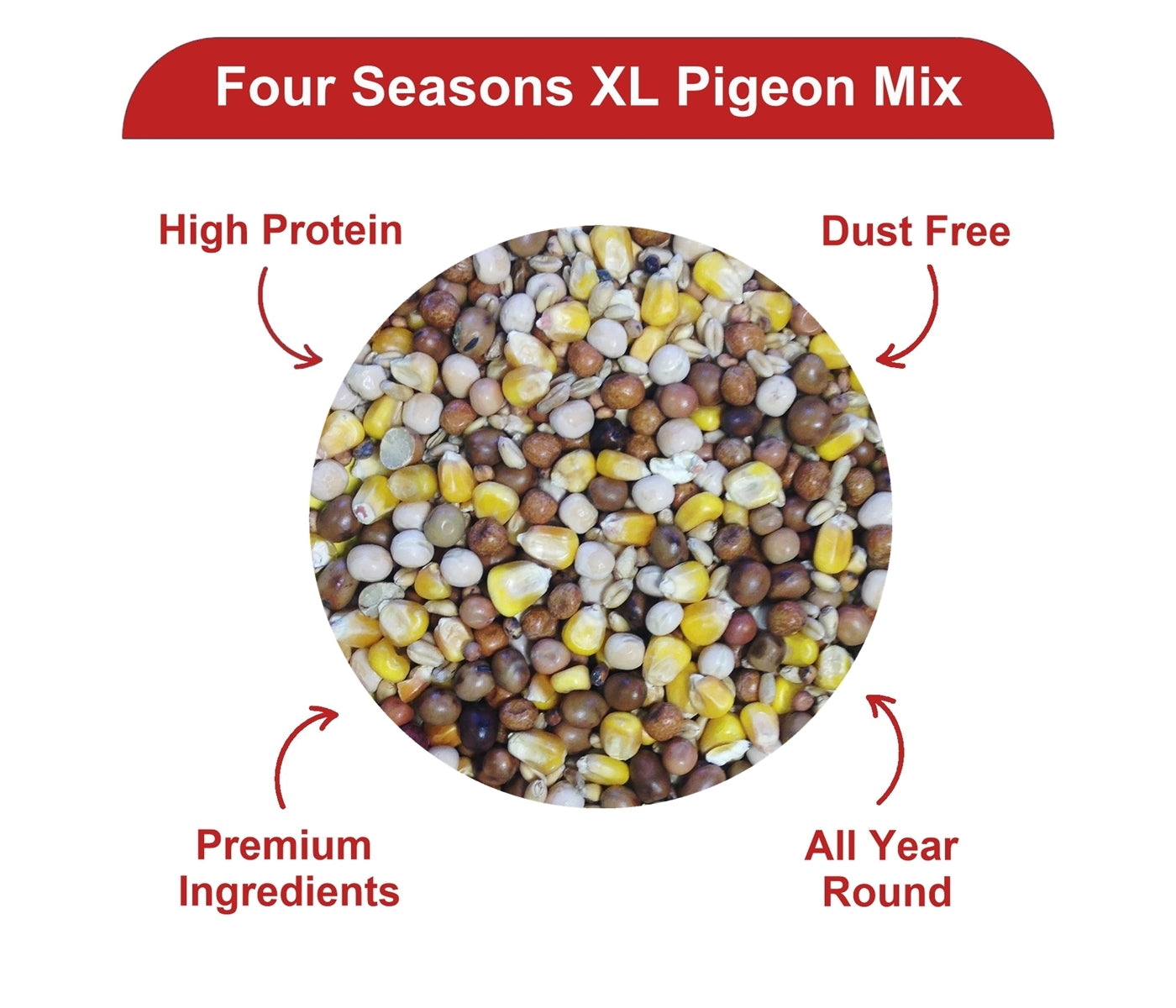 Gem - Four Seasons Pigeon Mix 20kg - Buy Online SPR Centre UK