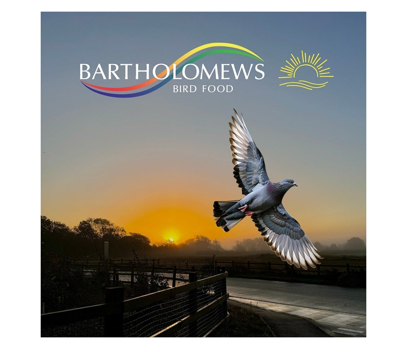 Gem Cowood Special Pigeon Mix 20kg - Buy Online SPR Centre UK