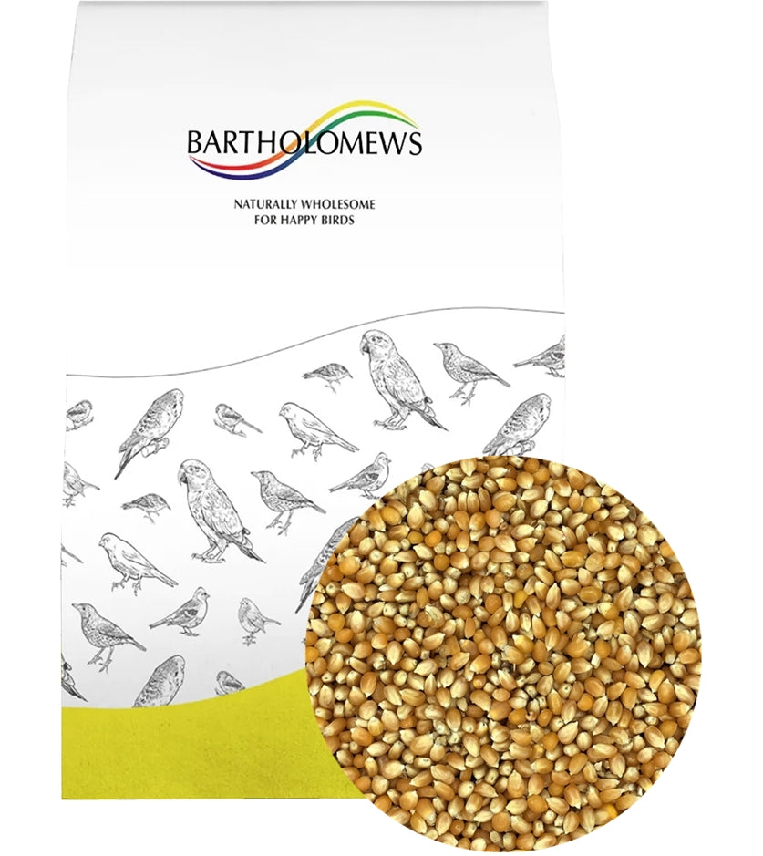 Gem - Popcorn Maize 20kg | Pigeon Food - Buy Online SPR Centre UK
