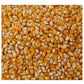Gem - Popcorn Maize 20kg | Pigeon Food - Buy Online SPR Centre UK