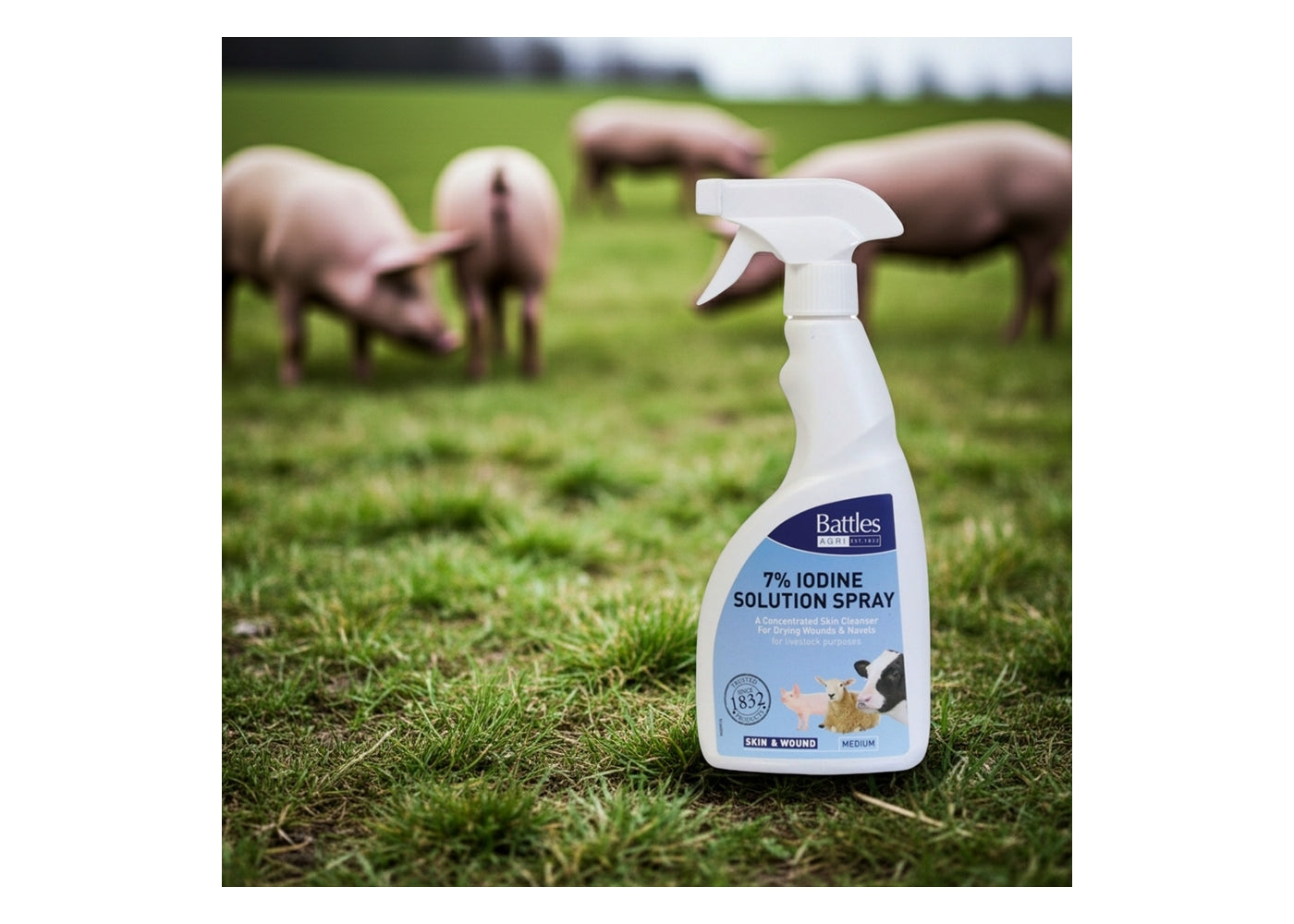 Battles - 7% Iodine Solution Spray 500ml | Animal Care - Buy Online SPR Centre UK