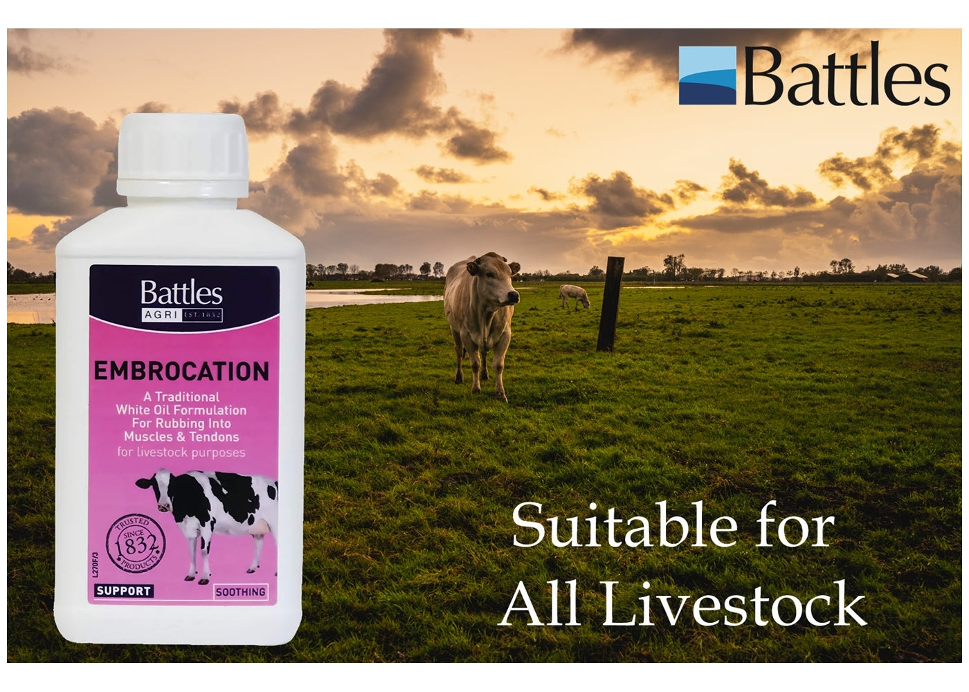 Battles - Embrocation Oil - Buy Online SPR Centre UK