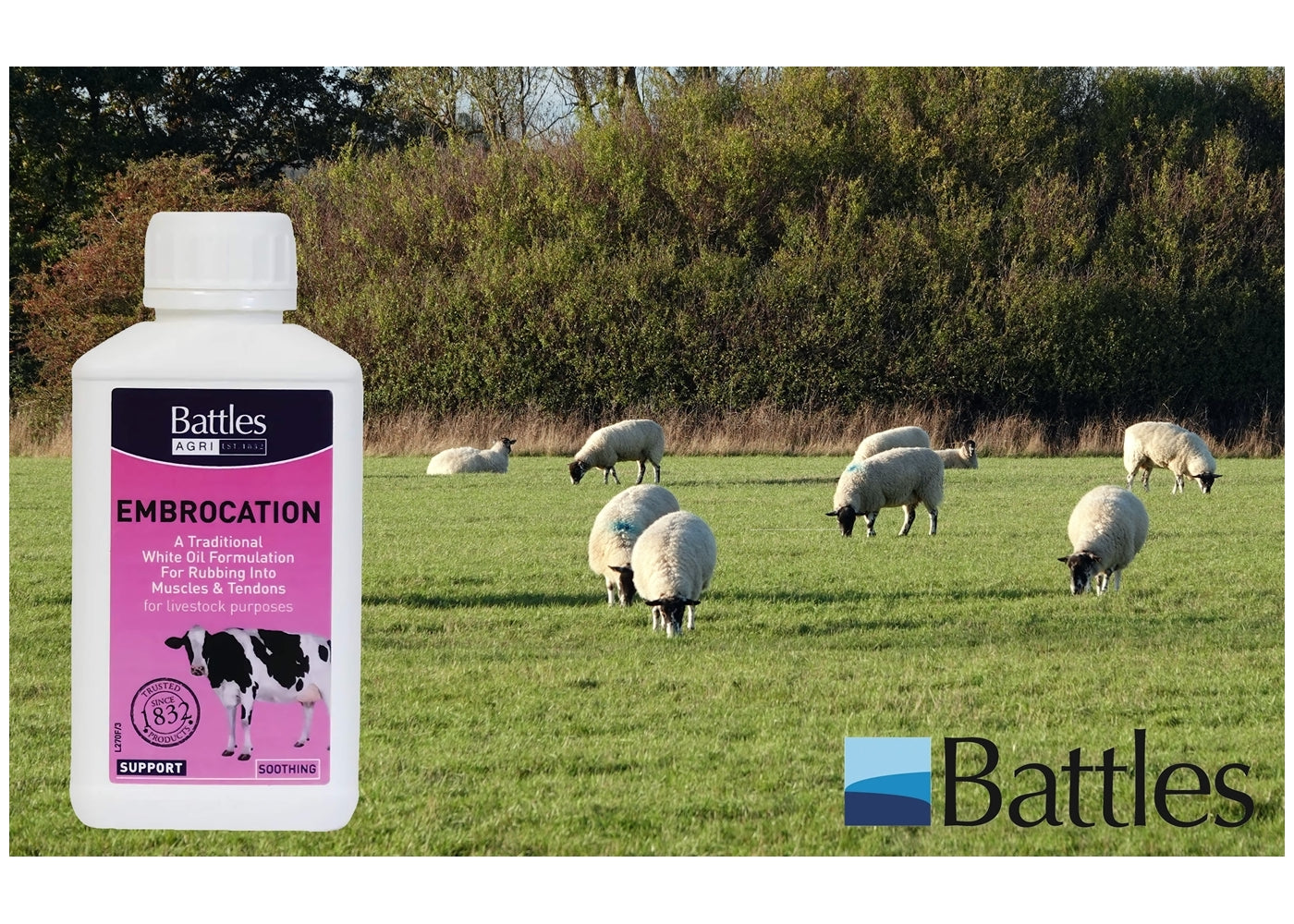 Battles - Embrocation Oil - Buy Online SPR Centre UK