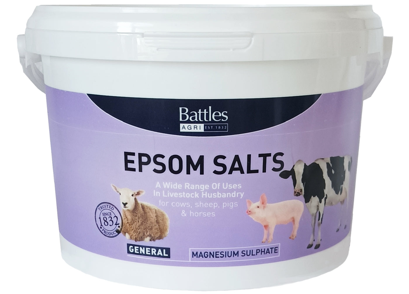 Battles - Epsom Salt - Buy Online SPR Centre UK