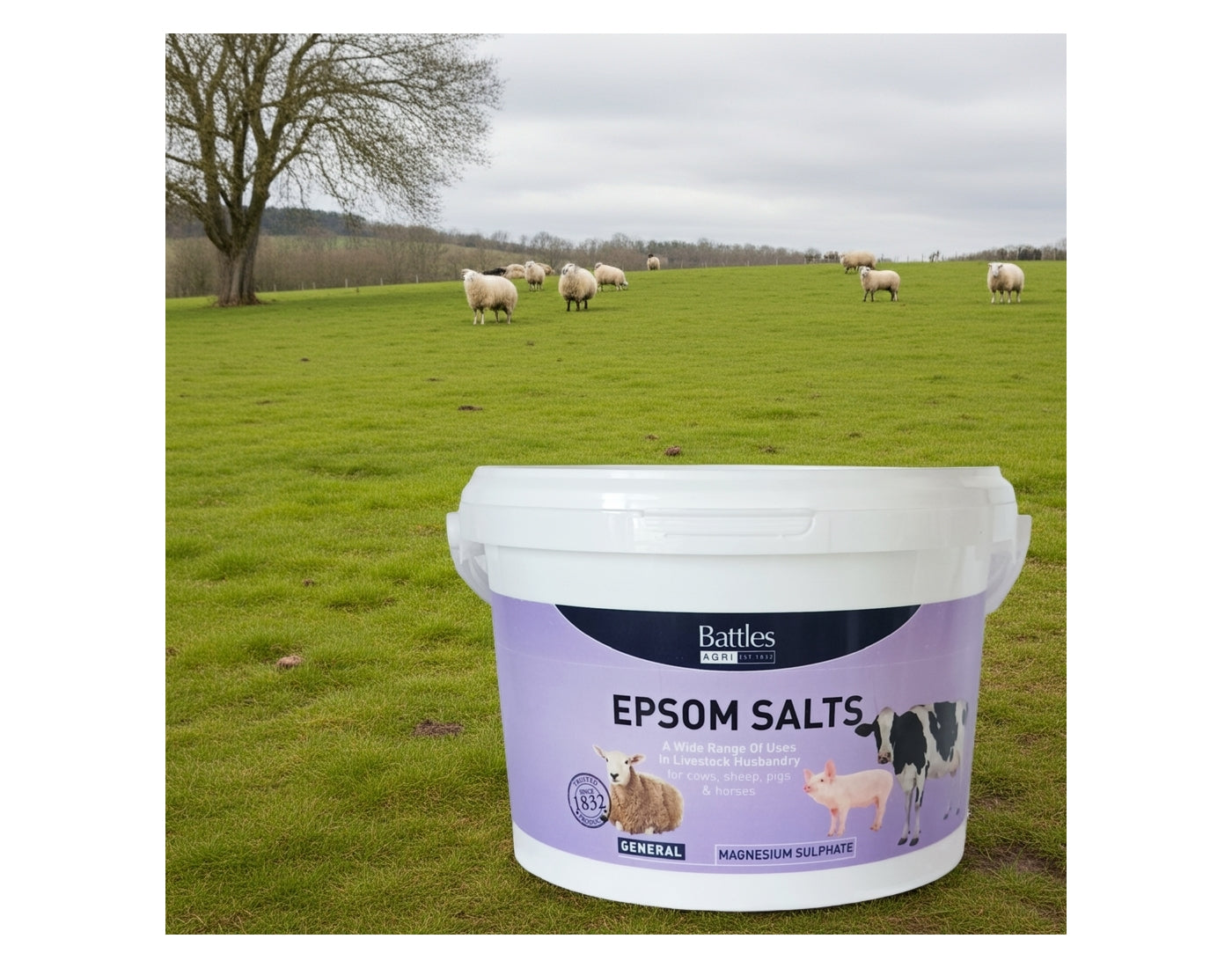Battles - Epsom Salts for Horses & Livestock - Buy Online SPR Centre UK