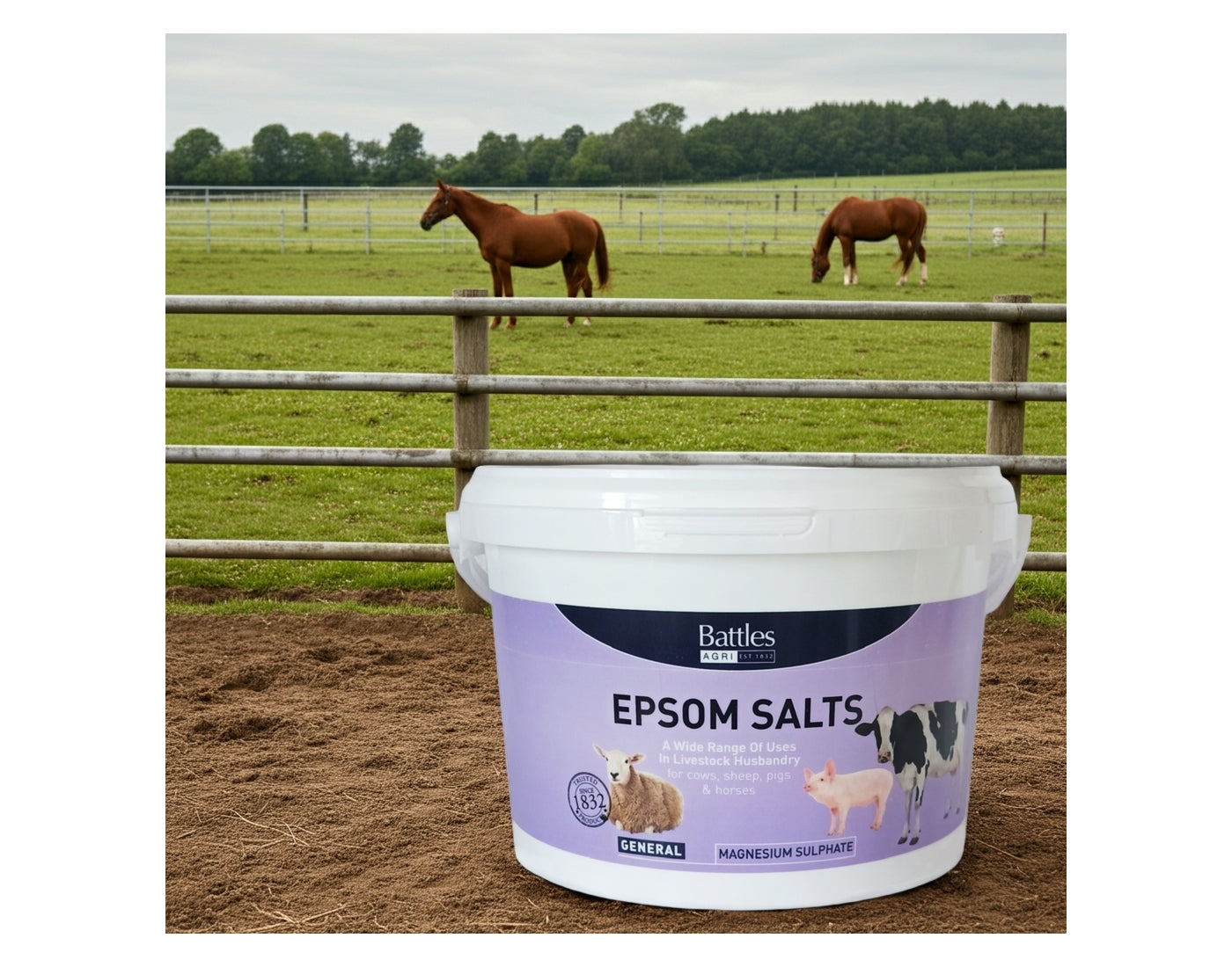Battles - Epsom Salts for Horses & Livestock - Buy Online SPR Centre UK