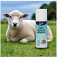 Battles - Foot Health Aerosol for Sheep  - Buy Online SPR Centre UK