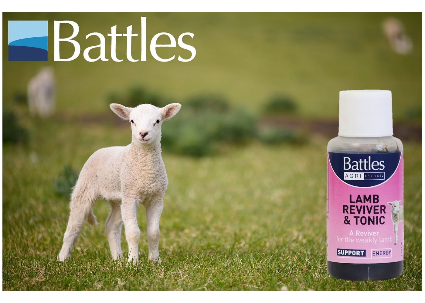 Battles - Lamb Reviver and Tonic - Buy Online SPR Centre UK