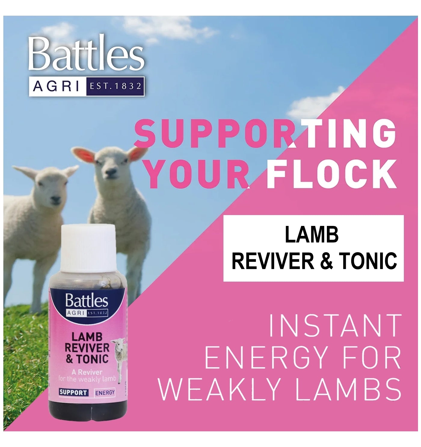 Battles - Lamb Reviver and Tonic - Buy Online SPR Centre UK