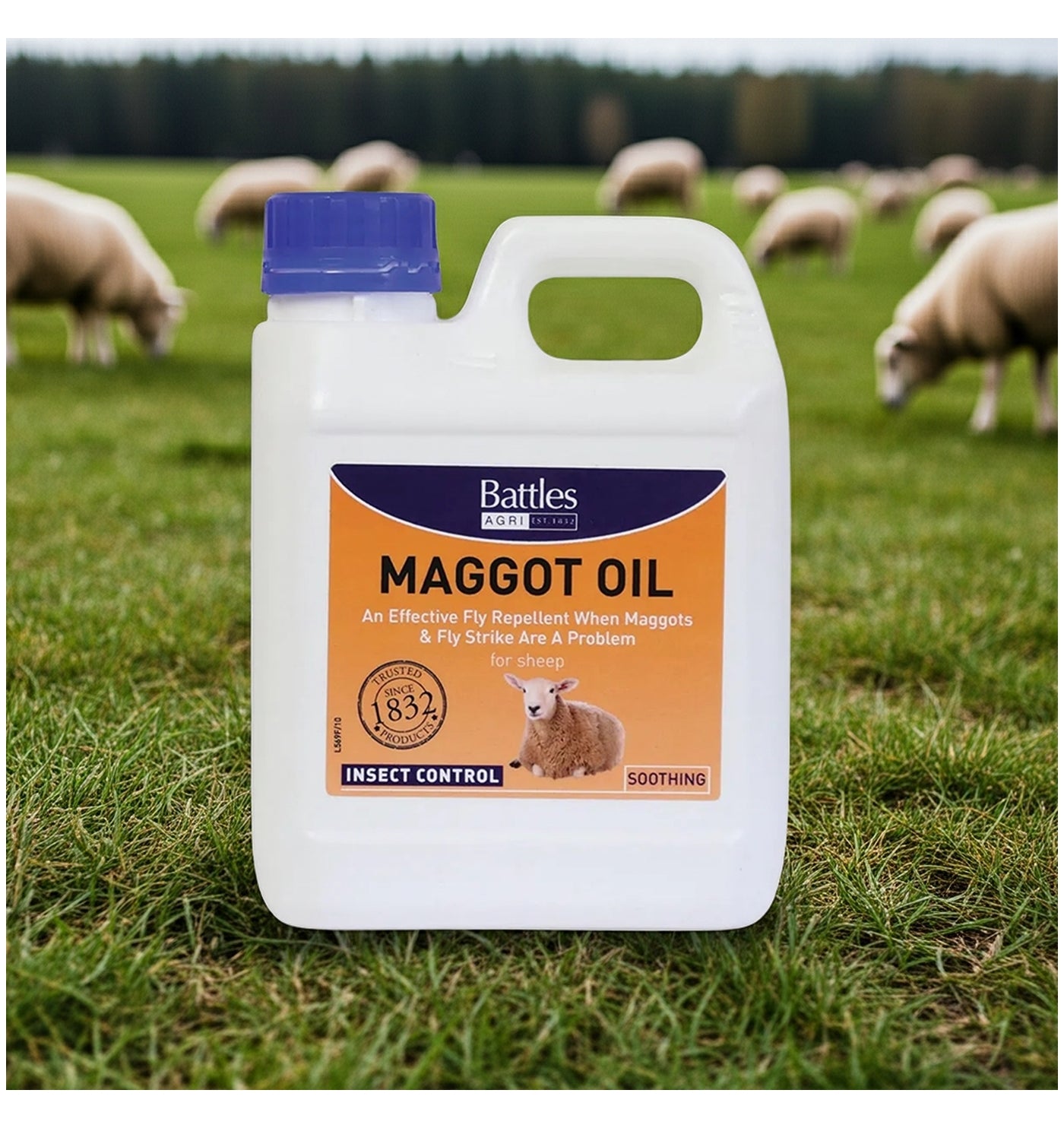 Battles - Maggot Oil - 1 litre - Buy Online SPR Centre UK