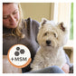 Beaphar - Eye Lotion for Cats & Dogs - Buy Online SPR Centre UK