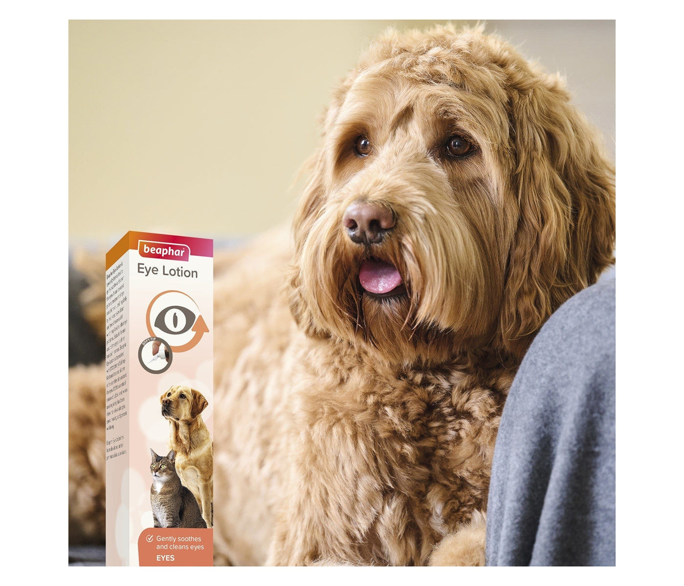 Beaphar - Eye Lotion for Cats & Dogs - Buy Online SPR Centre UK