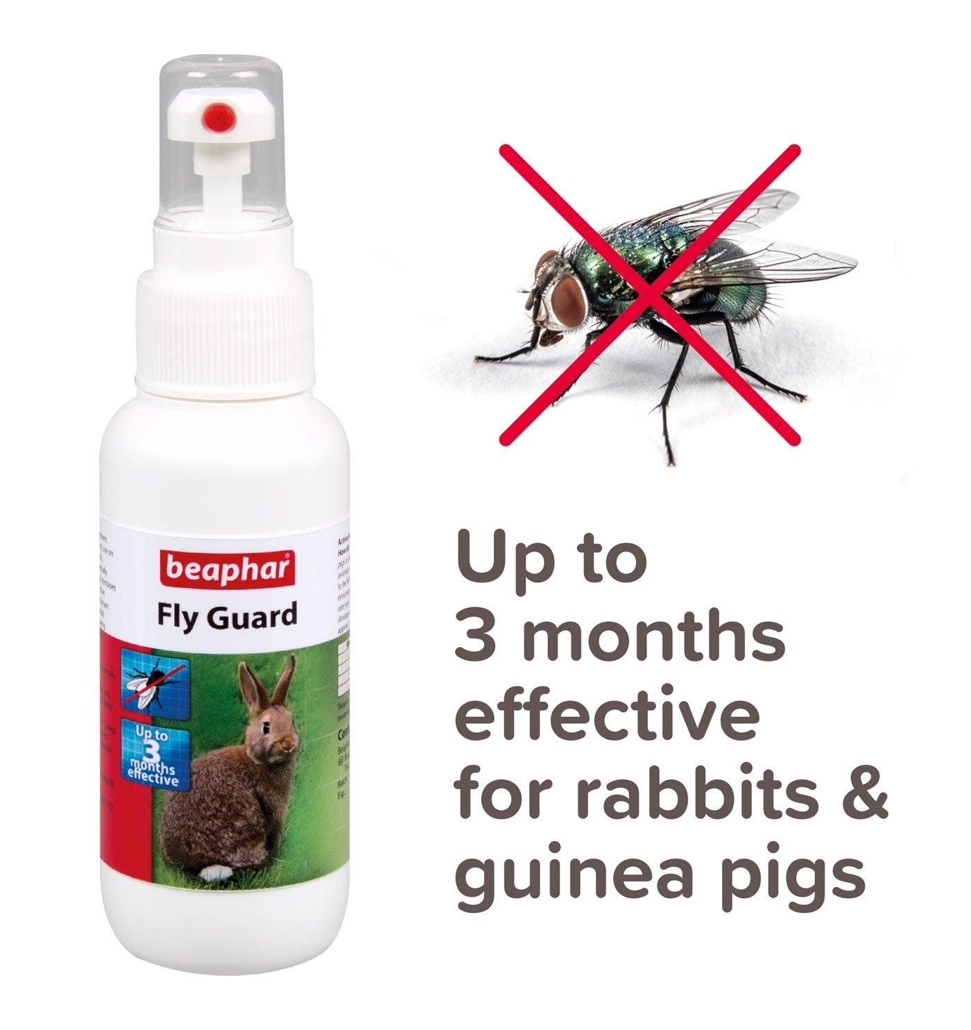 Beaphar - Fly Guard for Rabbits & Guinea Pigs - Buy Online SPR Centre