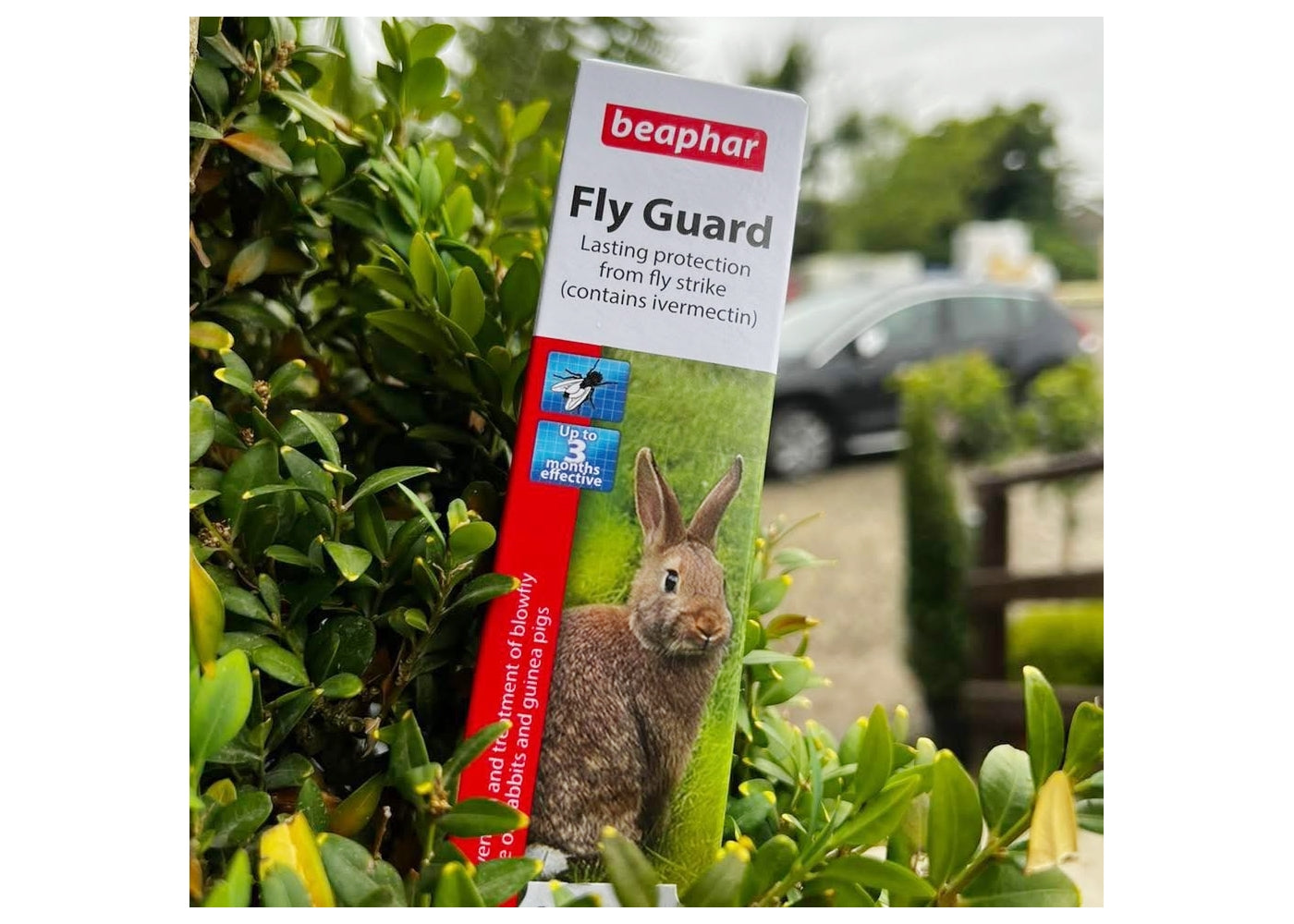 Beaphar - Fly Guard for Rabbits & Guinea Pigs - Buy Online SPR Centre