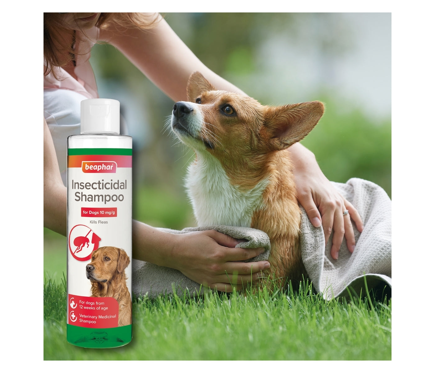 Beaphar - Insecticidal Shampoo for Dogs - Buy Online SPR Centre UK