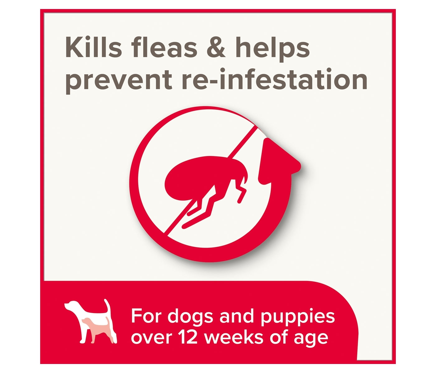 Beaphar - Insecticidal Shampoo for Dogs - Buy Online SPR Centre UK