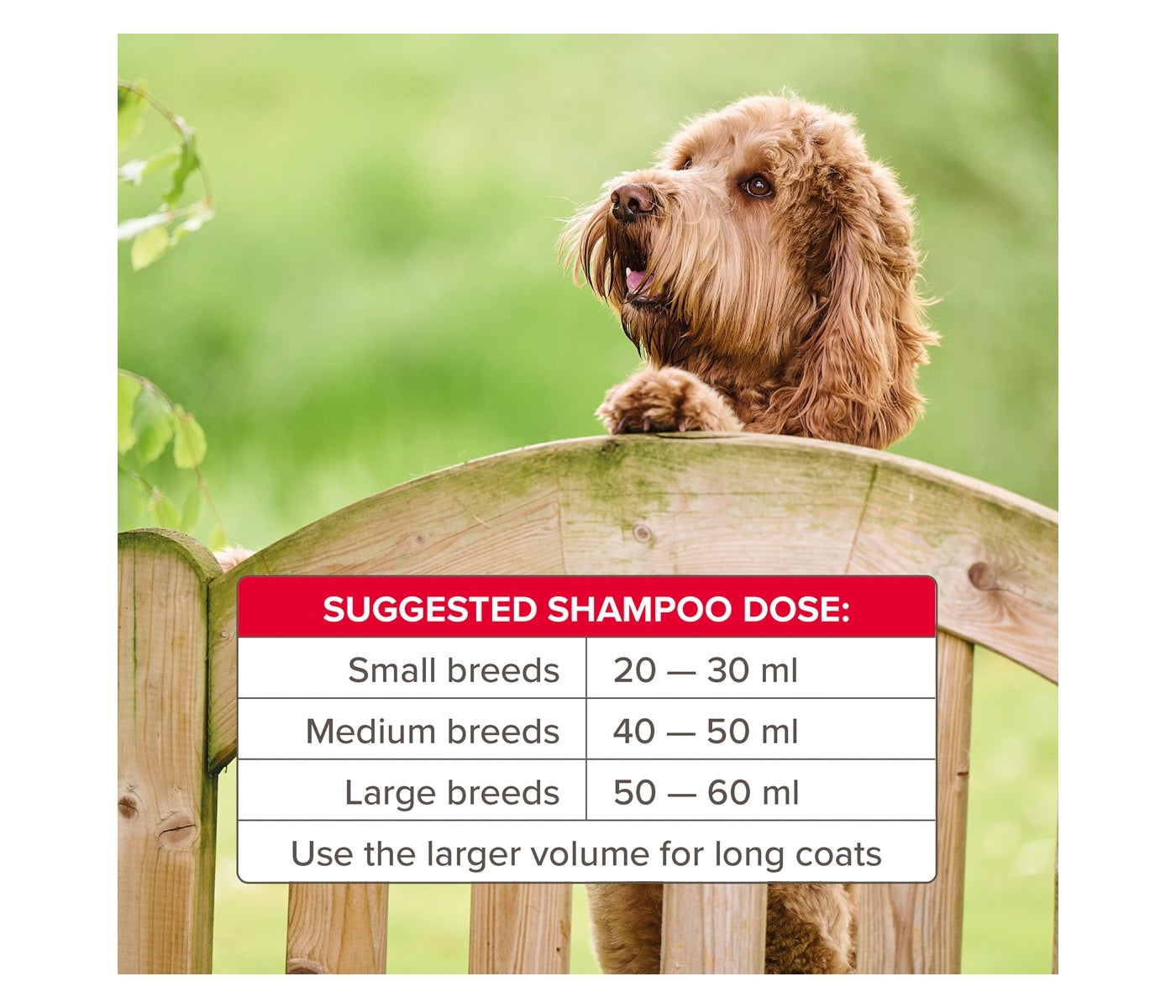 Beaphar - Insecticidal Shampoo for Dogs - Buy Online SPR Centre UK