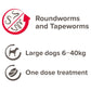 Beaphar - One Dose Worming Tablets for Large Dogs 20-40kg (4 Tablets) - Buy Online SPR Centre UK