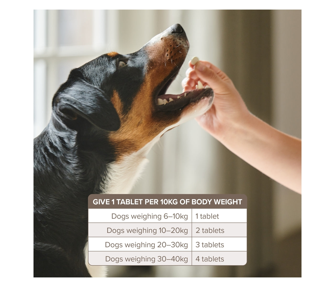 Beaphar - One Dose Worming Tablets for Large Dogs 20-40kg (4 Tablets) - Buy Online SPR Centre UK