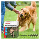 Beaphar - One Dose Worming Tablets for Large Dogs 20-40kg (4 Tablets) - Buy Online SPR Centre UK