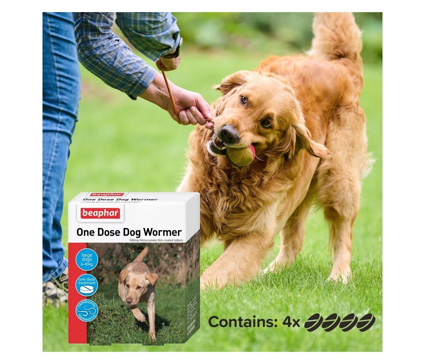 Beaphar - One Dose Worming Tablets for Large Dogs 20-40kg (4 Tablets) - Buy Online SPR Centre UK