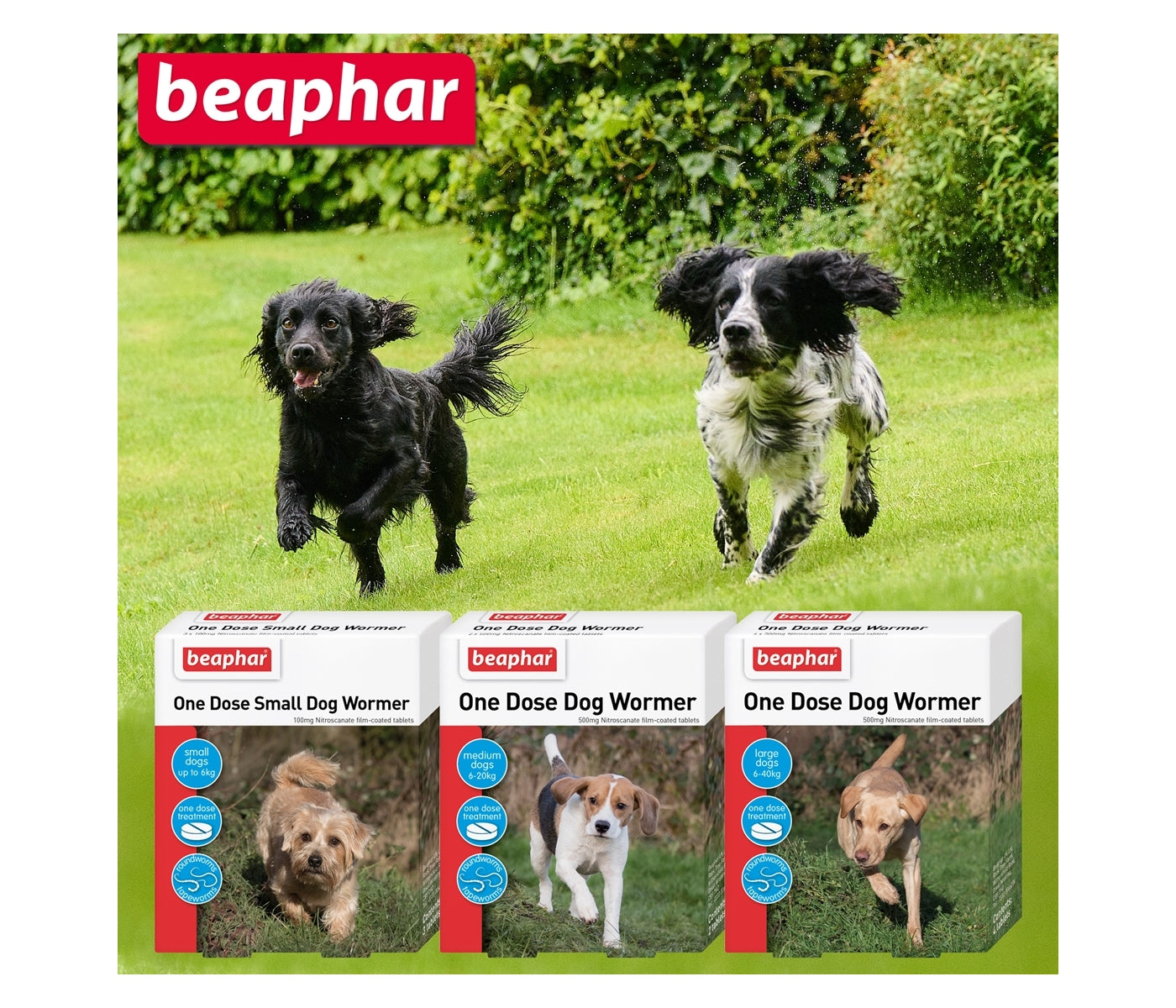 Beaphar - One Dose Worming Tablets for Large Dogs 20-40kg (4 Tablets) - Buy Online SPR Centre UK