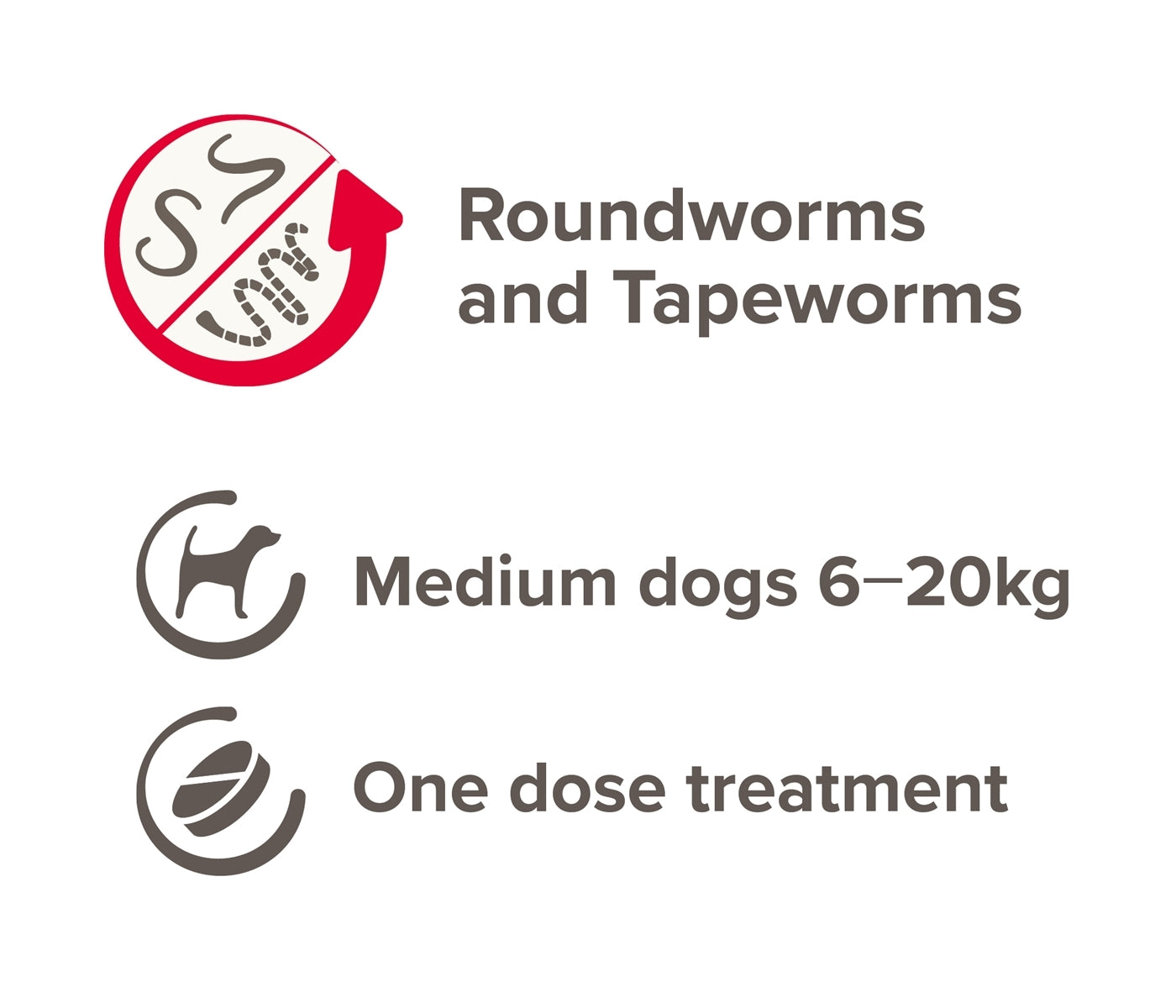 Beaphar - One Dose Worming Tablets for Medium Dogs 6-20kg (2 Tablets) - Buy Online SPR Centre UK