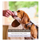 Beaphar - One Dose Worming Tablets for Medium Dogs 6-20kg (2 Tablets) - Buy Online SPR Centre UK