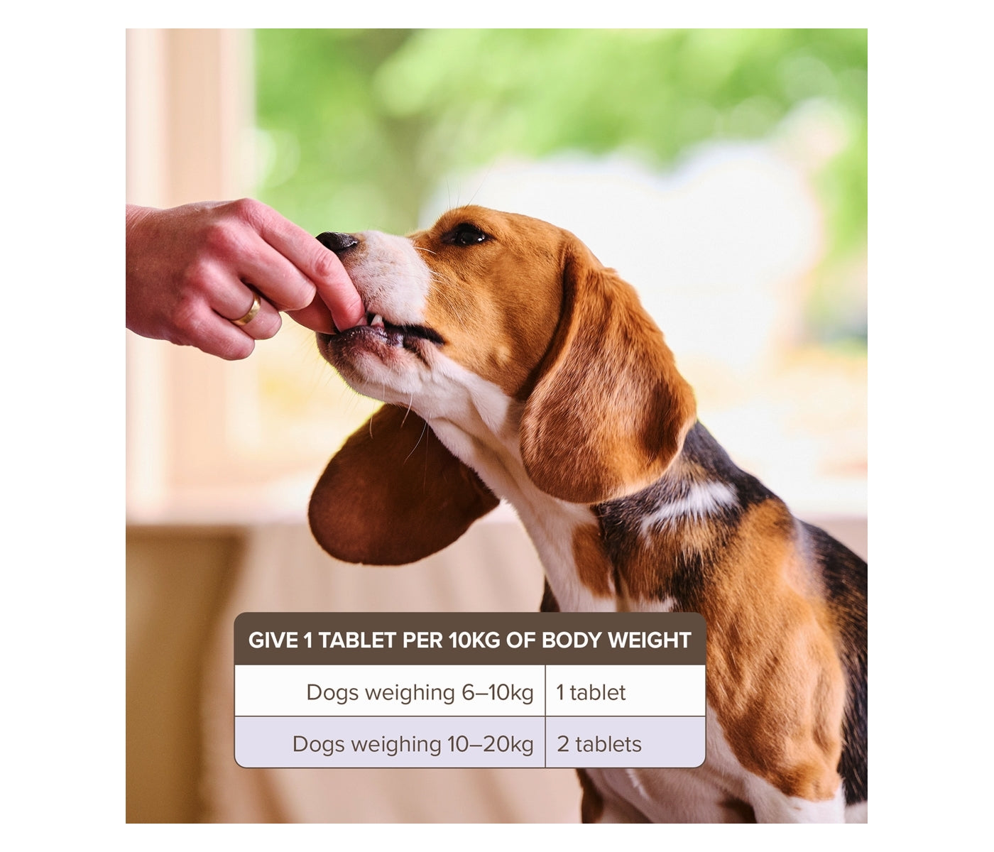 Beaphar - One Dose Worming Tablets for Medium Dogs 6-20kg (2 Tablets) - Buy Online SPR Centre UK