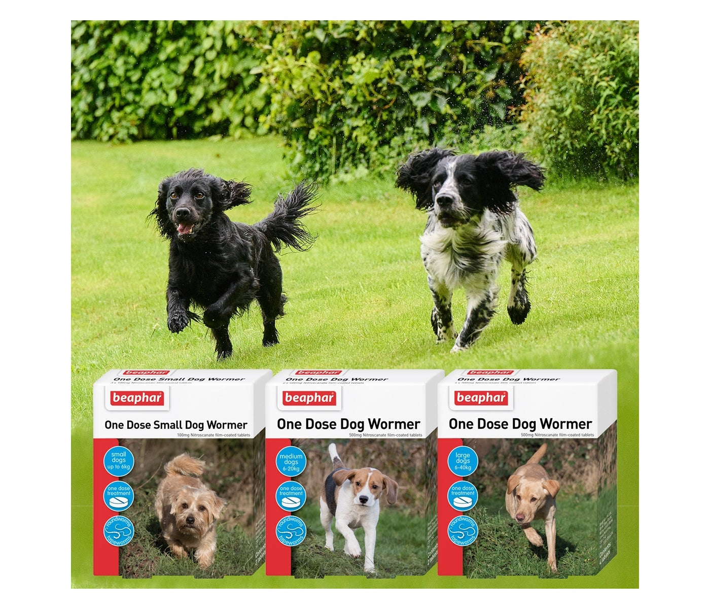 Beaphar - One Dose Worming Tablets for Medium Dogs 6-20kg (2 Tablets) - Buy Online SPR Centre UK