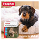 Beaphar - One Dose Worming Tablets for Small Dogs up to 6kg (3 Tablets) - Buy Online SPR Centre UK
