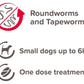 Beaphar - One Dose Worming Tablets for Small Dogs up to 6kg (3 Tablets) - Buy Online SPR Centre UK