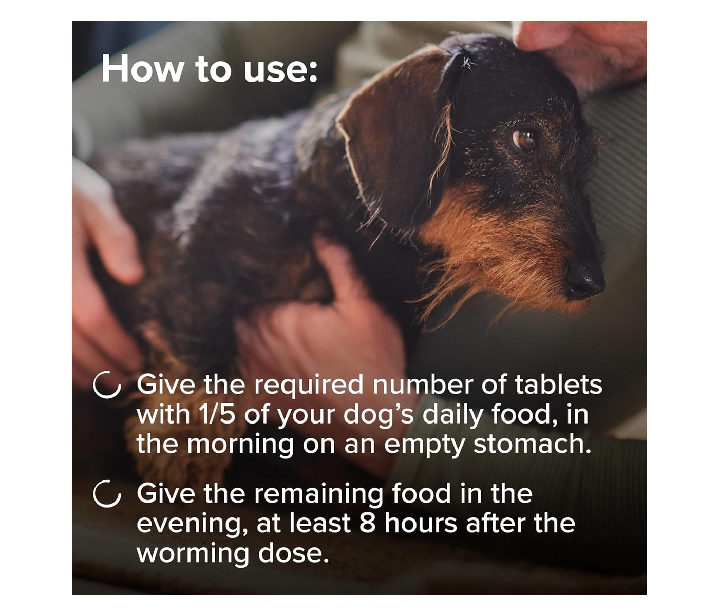 Beaphar - One Dose Worming Tablets for Small Dogs up to 6kg (3 Tablets) - Buy Online SPR Centre UK