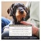 Beaphar - One Dose Worming Tablets for Small Dogs up to 6kg (3 Tablets) - Buy Online SPR Centre UK