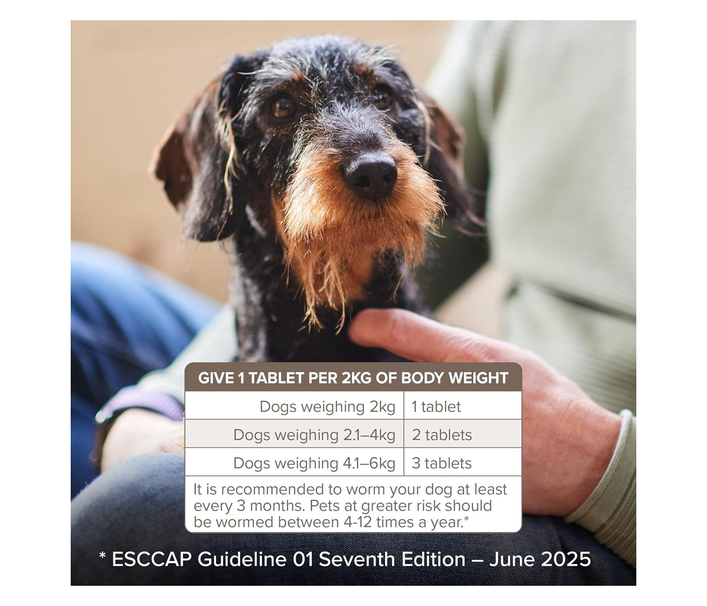 Beaphar - One Dose Worming Tablets for Small Dogs up to 6kg (3 Tablets) - Buy Online SPR Centre UK