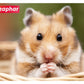 Beaphar Munching Sticks | Small Animal Treats - Buy Online SPR Centre UK
