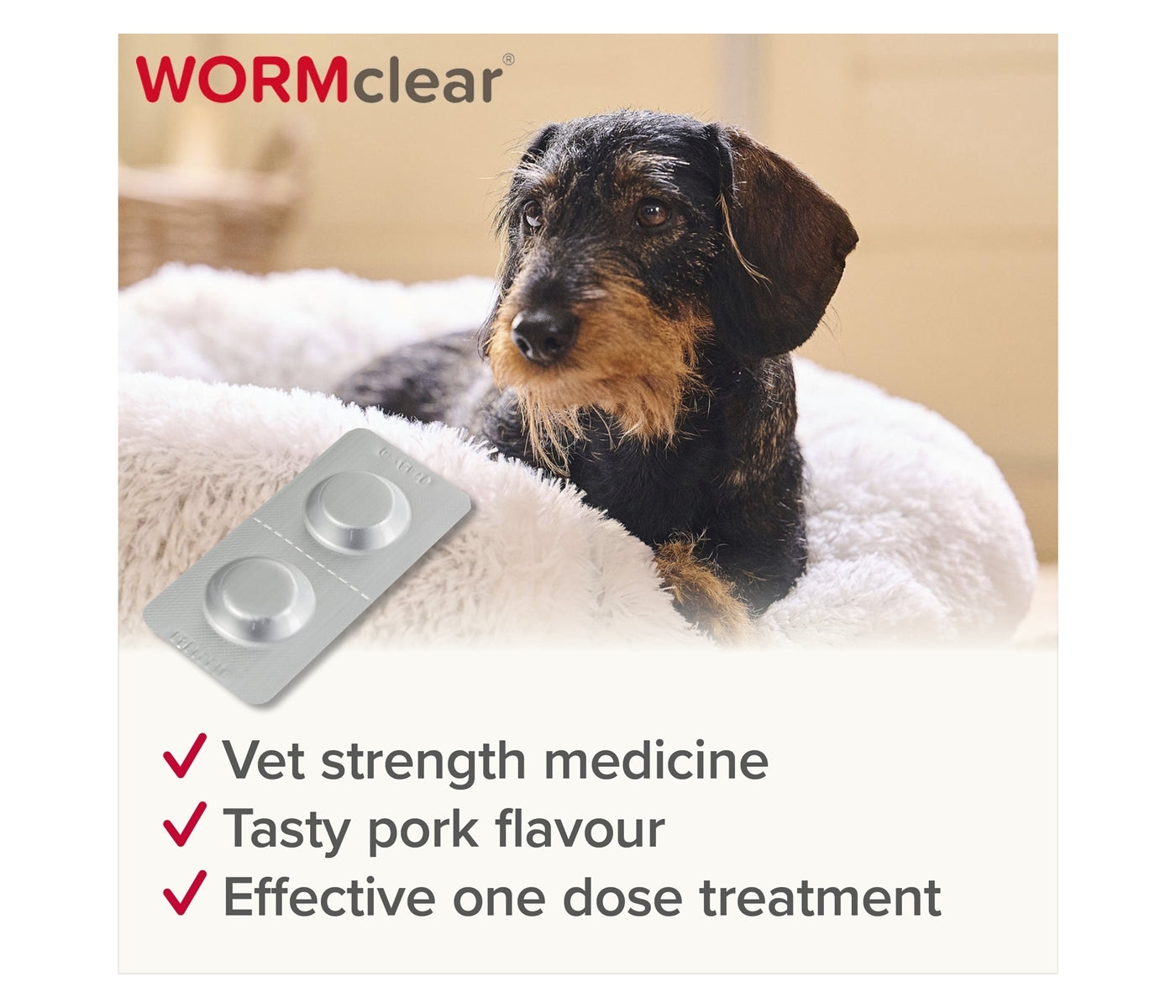 Beaphar - WORMclear Worming Tablets for Dogs up to 20kg (2 Pack) - Buy Online SPR Centre UK