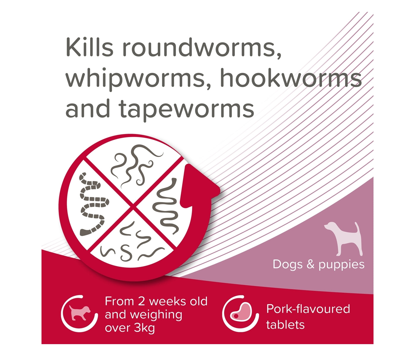 Beaphar - WORMclear Worming Tablets for Dogs up to 20kg (2 Pack) - Buy Online SPR Centre UK