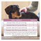 Beaphar - WORMclear Worming Tablets for Dogs up to 20kg (2 Pack) - Buy Online SPR Centre UK
