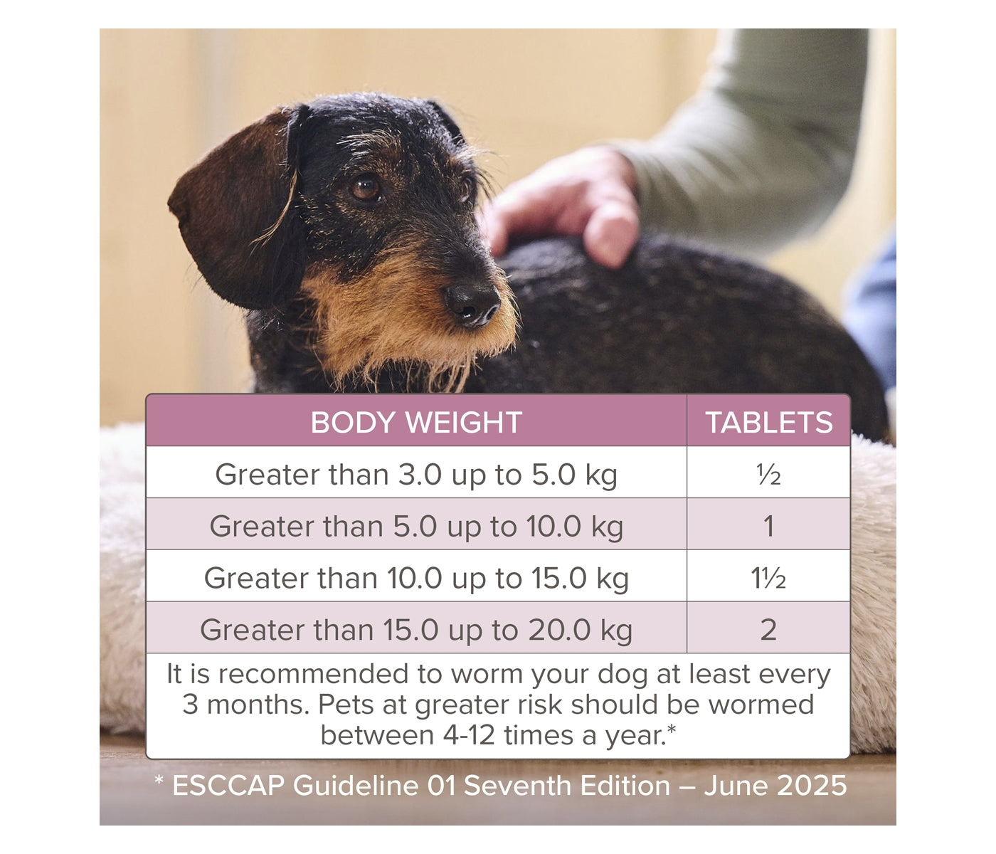 Beaphar - WORMclear Worming Tablets for Dogs up to 20kg (2 Pack) - Buy Online SPR Centre UK