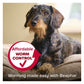 Beaphar - WORMclear Worming Tablets for Dogs up to 20kg (2 Pack) - Buy Online SPR Centre UK