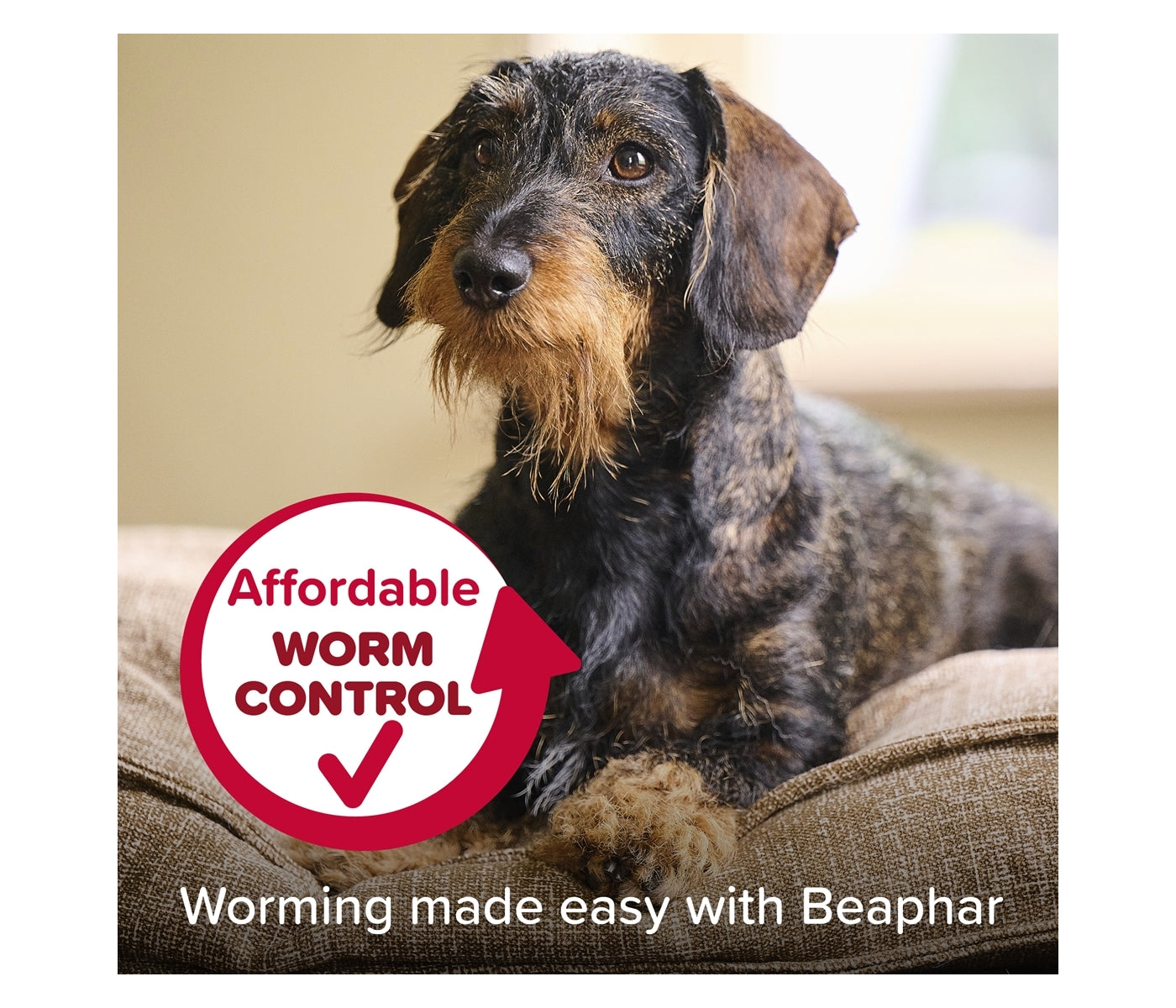 Beaphar - WORMclear Worming Tablets for Dogs up to 20kg (2 Pack) - Buy Online SPR Centre UK