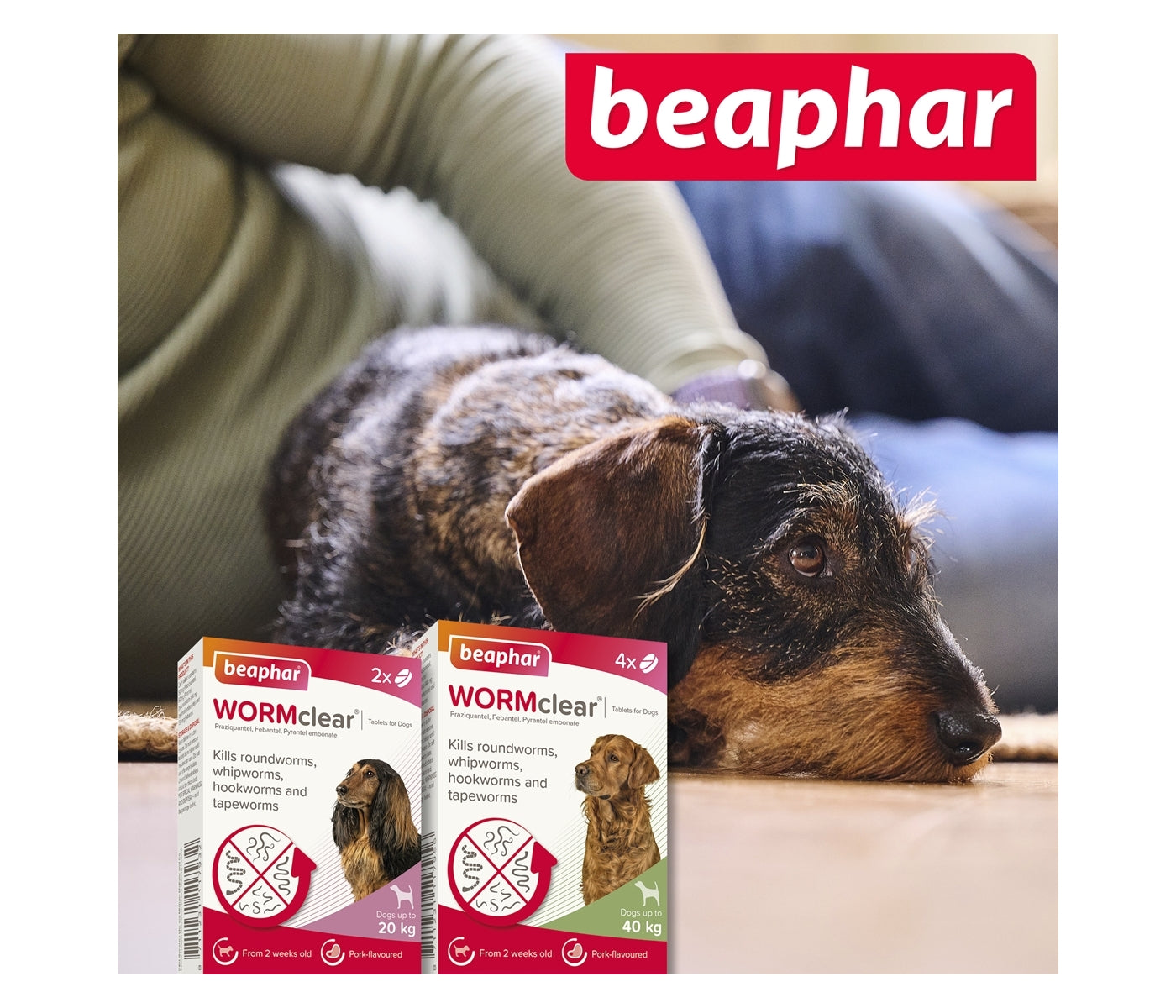 Beaphar - WORMclear Worming Tablets for Dogs up to 20kg (2 Pack) - Buy Online SPR Centre UK