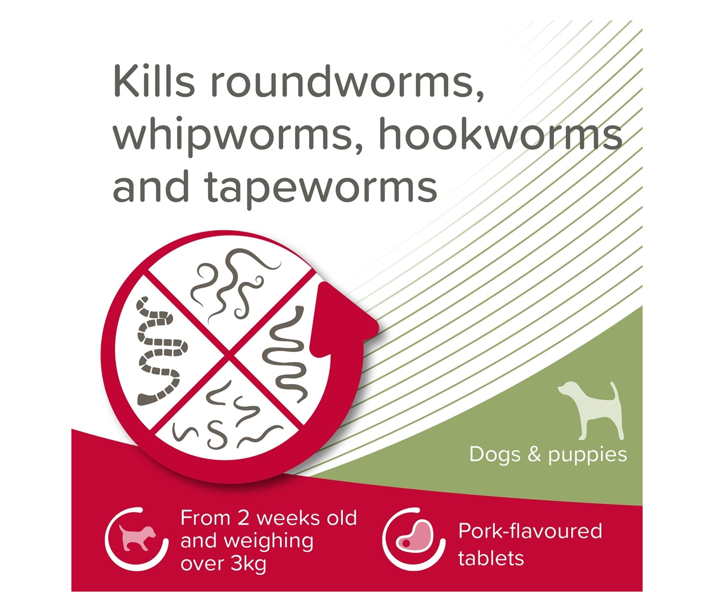 Beaphar - WORMclear Worming Tablets for Dogs up to 40kg (4 Pack) - Buy Online SPR Centre UK